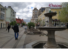 IMG 20250503 151046.jpg