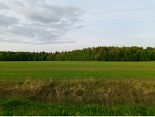 20250517 ������-300 �������� 56 184810.jpg