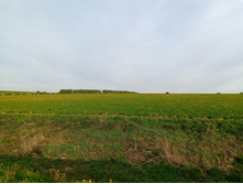 20250517 ������-300 �������� 56 182619.jpg