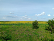 20250517 ������-300 �������� 56 161710.jpg