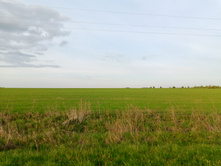 20250517 ������-300 �������� 56 184553.jpg