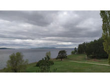 IMG 20250503 120703.jpg