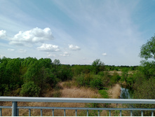 20250517 ������-300 �������� 56 105923.jpg