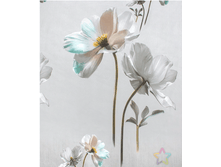 ����� 220 ��.���.2.png