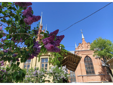 IMG 20250505 143420.jpg