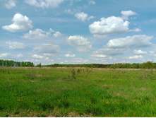 20250517 ������-300 �������� 56 142251.jpg