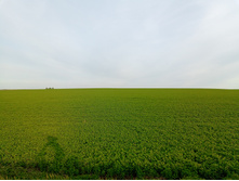 20250517 ������-300 �������� 56 182906.jpg