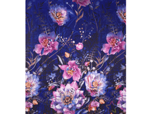 �������� ����� (������� 220 ��)1.png