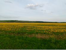 20250517 ������-300 �������� 56 175535.jpg