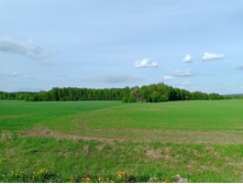 20250517 ������-300 �������� 56 163021.jpg