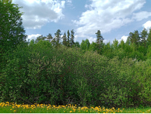 20250517 ������-300 �������� 56 132122.jpg