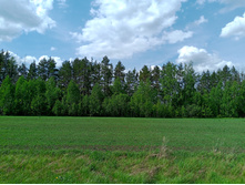 20250517 ������-300 �������� 56 132055.jpg