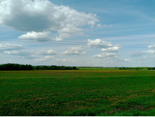 20250517 ������-300 �������� 56 151113.jpg