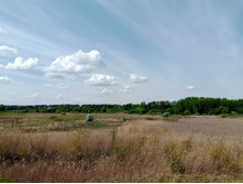 20250517 ������-300 �������� 56 105851.jpg