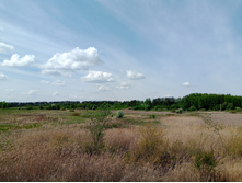 20250517 ������-300 �������� 56 105852.jpg