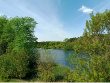 20250517 ������-300 �������� 56 104009.jpg