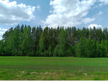 20250517 ������-300 �������� 56 132114.jpg