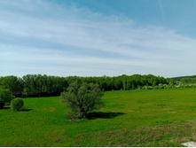 20250517 ������-300 �������� 56 100633.jpg