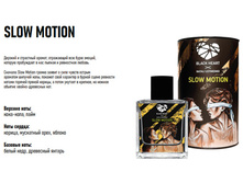 ����������� ���� SLOW MOTION 100��