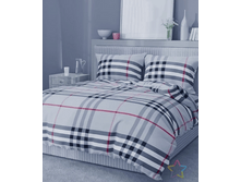 ������ (���� 220 ��).png