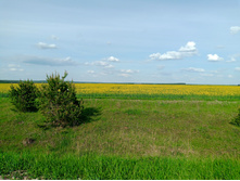 20250517 ������-300 �������� 56 161709.jpg