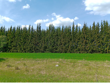 20250517 ������-300 �������� 56 134935.jpg