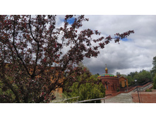 IMG 20250503 123811.jpg