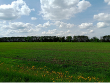 20250517 ������-300 �������� 56 131653.jpg