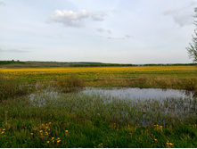 20250517 ������-300 �������� 56 175531.jpg