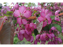 IMG 20250507 161339.jpg