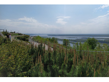 IMG 20250506 135623.jpg