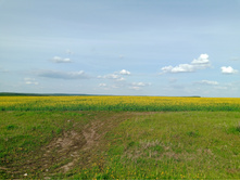 20250517 ������-300 �������� 56 161711.jpg