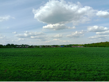 20250517 ������-300 �������� 56 151422.jpg