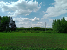 20250517 ������-300 �������� 56 132226.jpg