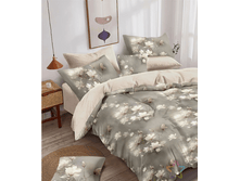 ������ 220 ��