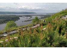 IMG 20250506 135739.jpg