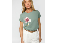 50� 1640���.jpeg