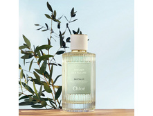 Atelier Des Fleurs Santalum Chloe � � 150 �� 10200+%+����