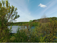 20250517 ������-300 �������� 56 104008.jpg