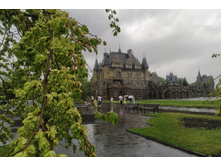 IMG 20250502 155200.jpg