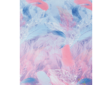 ���������� ����� (������� 220 ��)1.png