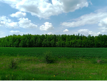 20250517 ������-300 �������� 56 132918.jpg