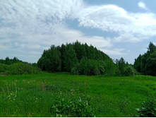 20250531 ������-400 ���������� 122408.jpg