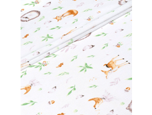 ���� � ����� (����� �������).png