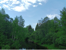 20250531 ������-400 ���������� 144836.jpg