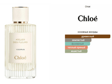 CHLOE Atelier Des Fleurs Cedrus 50��