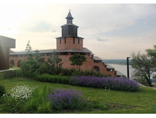 IMG 20250603 184329.jpg