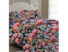 ������� (���� 150 ��).���� 170 ���+�������+��