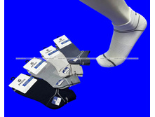 Pesail ����� ������� ����������� ����� ���. 3583 1 ���� - 32 ���