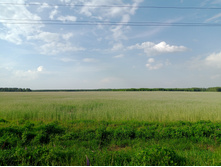 20250531 ������-400 ���������� 164938.jpg